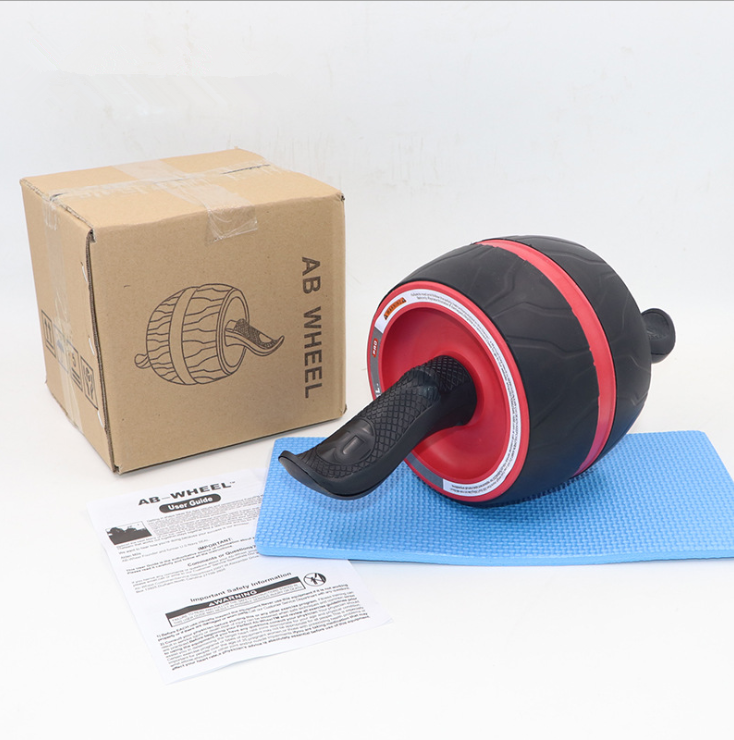 Fat Wheel Abs Roller